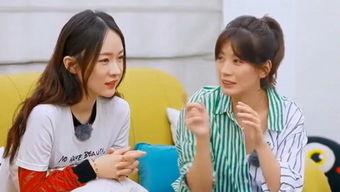 吃瓜娱乐台免费观看完整版,免费畅享明星八卦盛宴